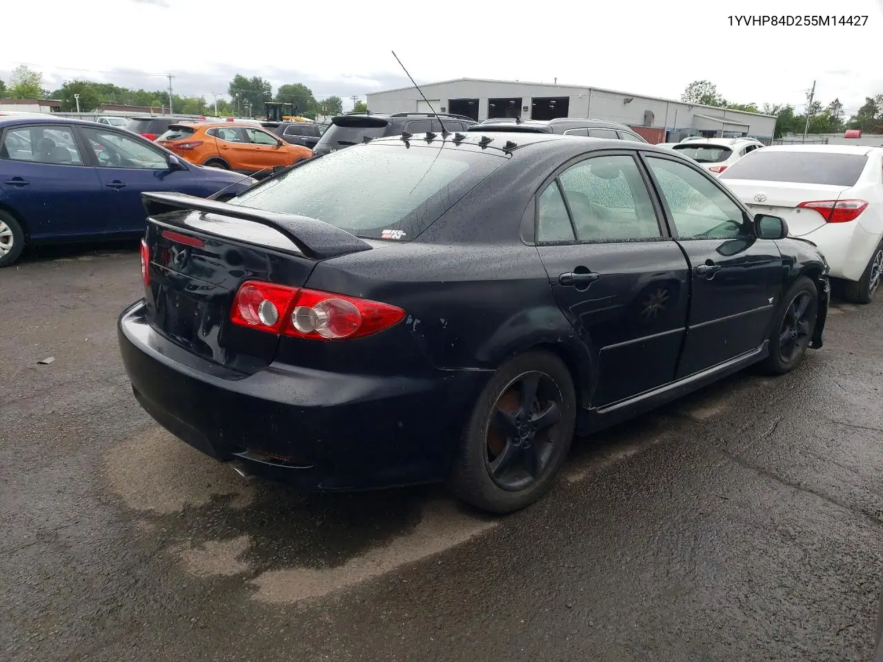 2005 Mazda 6 S VIN: 1YVHP84D255M14427 Lot: 57834406