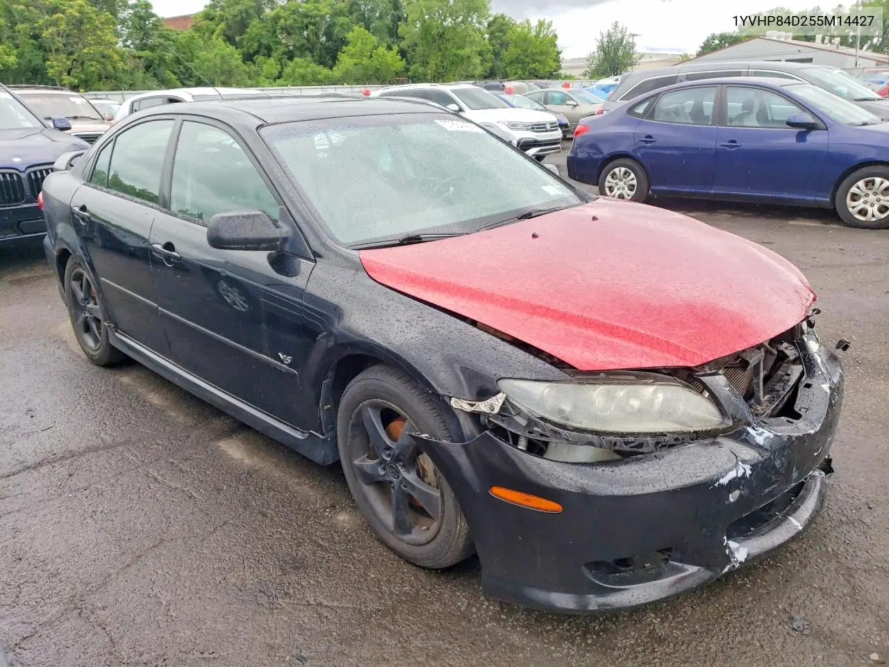 2005 Mazda 6 S VIN: 1YVHP84D255M14427 Lot: 57834406