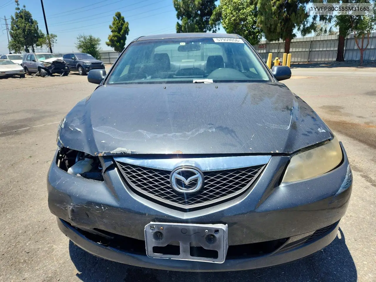 2005 Mazda 6 I VIN: 1YVFP80C555M31663 Lot: 57959056
