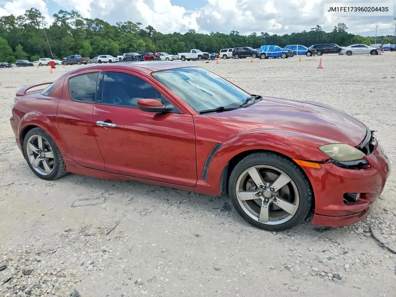 2006 Mazda Rx8 VIN: JM1FE173960204435 Lot: 55736136
