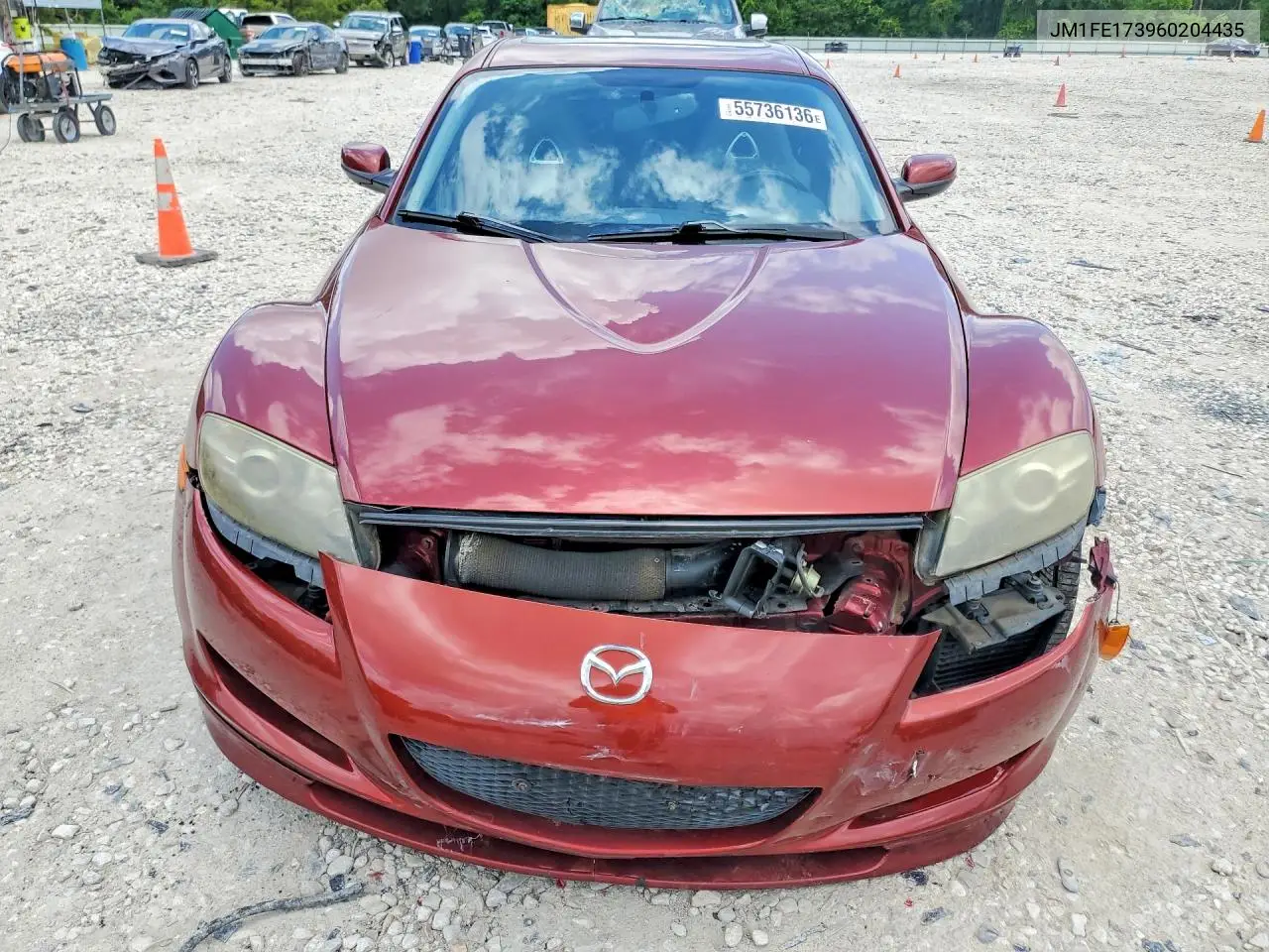 2006 Mazda Rx8 VIN: JM1FE173960204435 Lot: 55736136