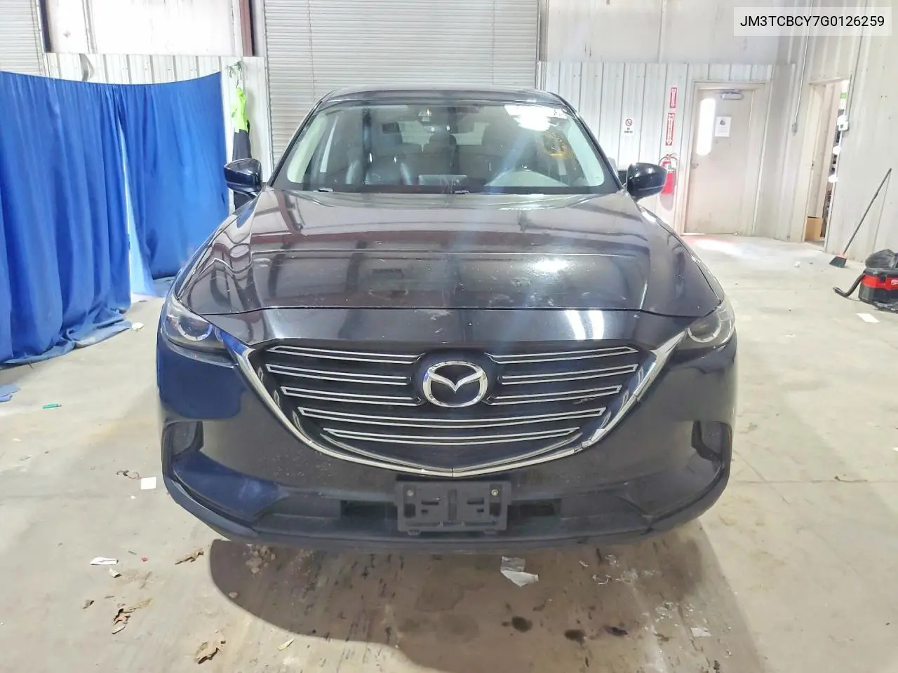 2016 Mazda Cx-9 Touring VIN: JM3TCBCY7G0126259 Lot: 59217856
