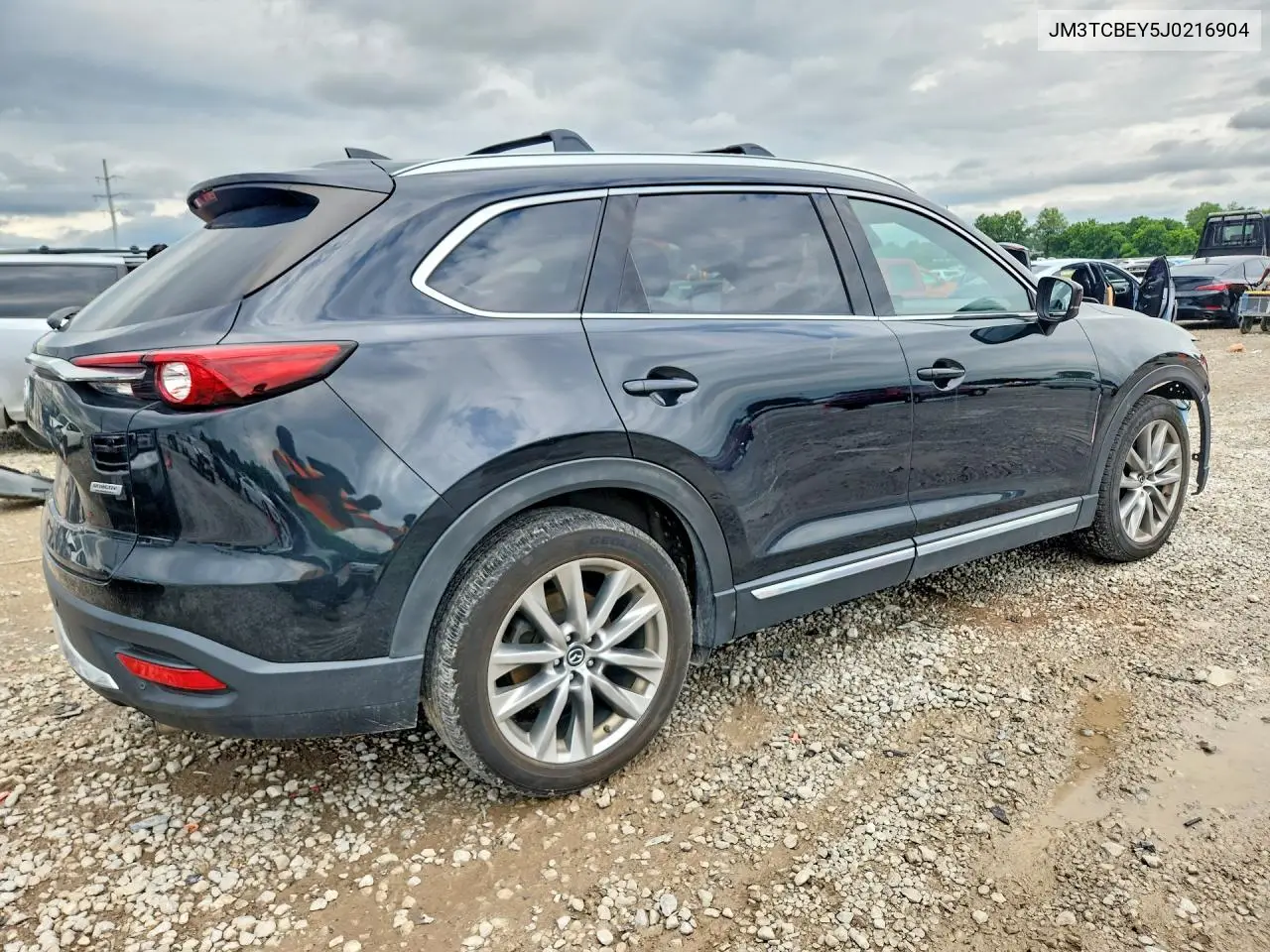 2018 Mazda Cx-9 Signature VIN: JM3TCBEY5J0216904 Lot: 56317906