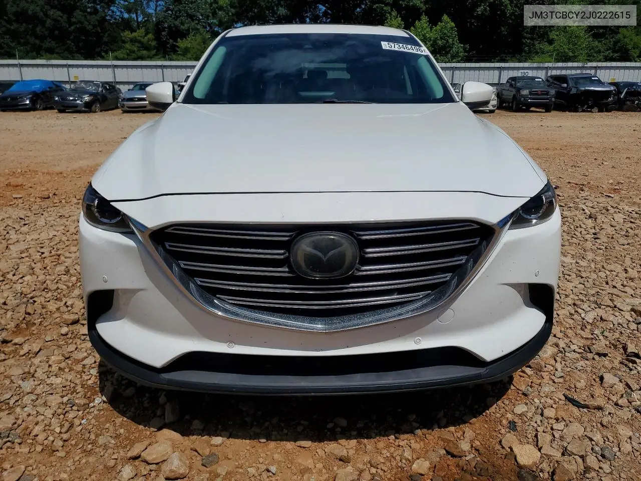 2018 Mazda Cx-9 Touring VIN: JM3TCBCY2J0222615 Lot: 57346496
