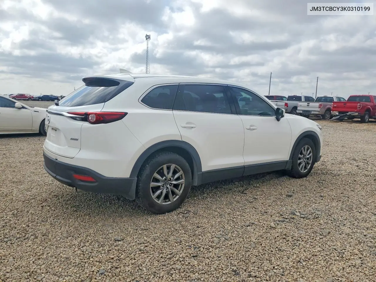 2019 Mazda Cx-9 Touring VIN: JM3TCBCY3K0310199 Lot: 58213546