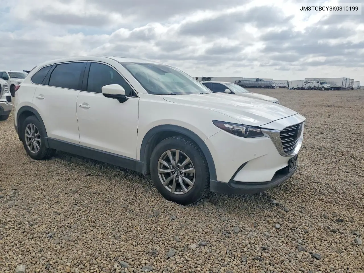 2019 Mazda Cx-9 Touring VIN: JM3TCBCY3K0310199 Lot: 58213546