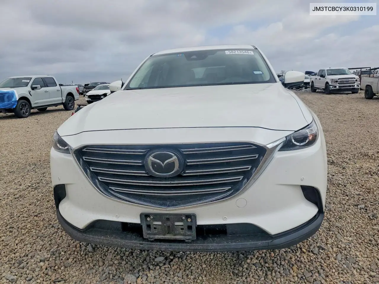 2019 Mazda Cx-9 Touring VIN: JM3TCBCY3K0310199 Lot: 58213546
