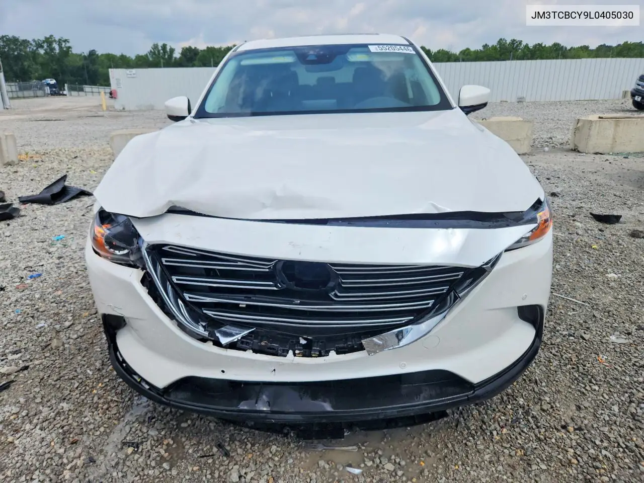 2020 Mazda Cx-9 Touring VIN: JM3TCBCY9L0405030 Lot: 55205446