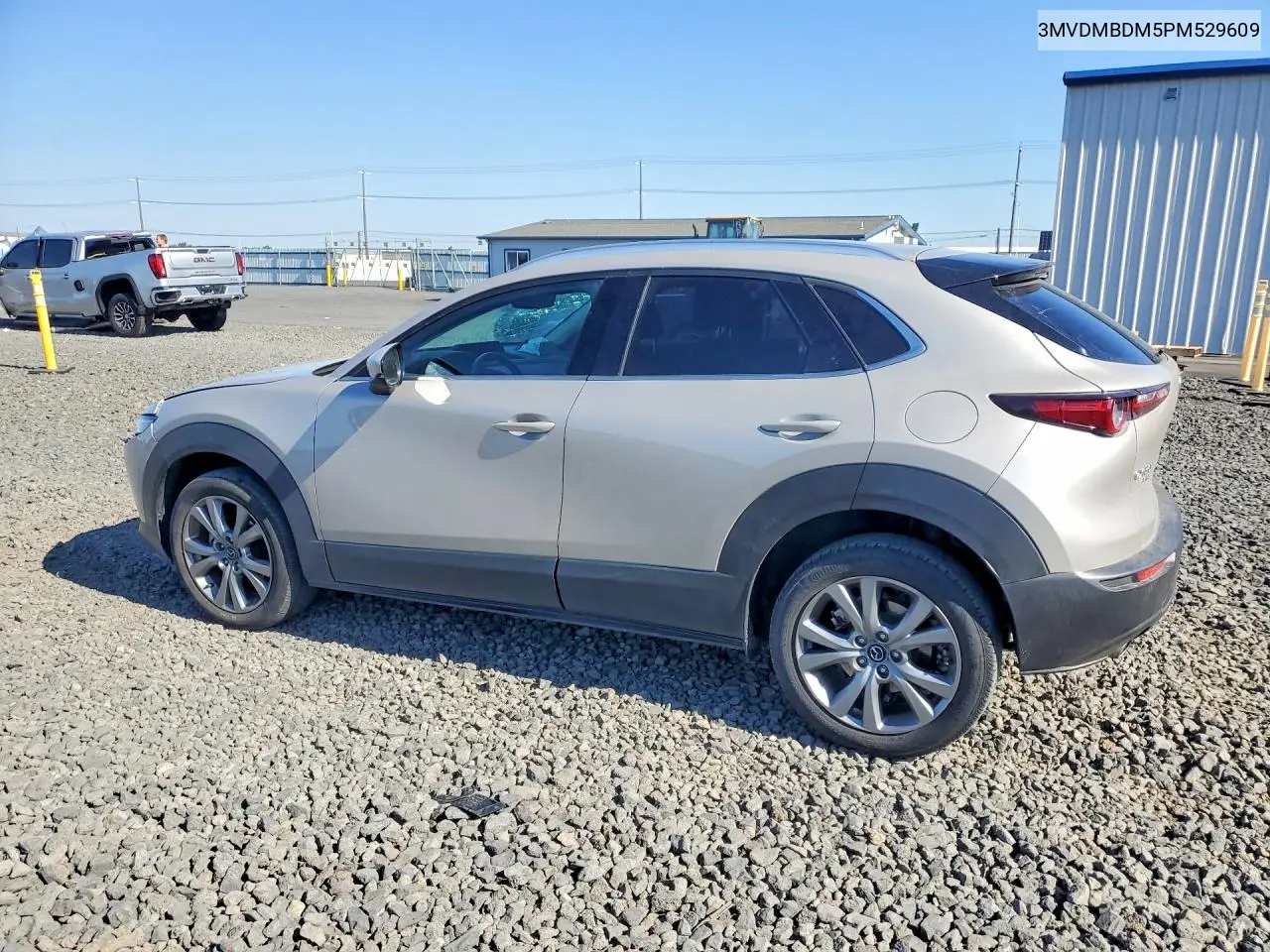 2023 Mazda Cx-30 Premium VIN: 3MVDMBDM5PM529609 Lot: 59920406