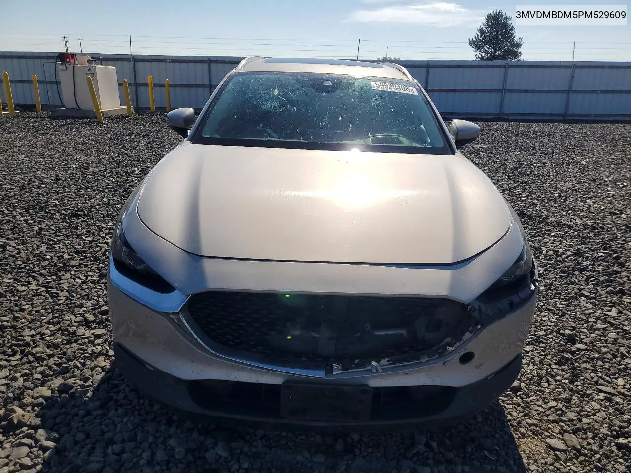2023 Mazda Cx-30 Premium VIN: 3MVDMBDM5PM529609 Lot: 59920406