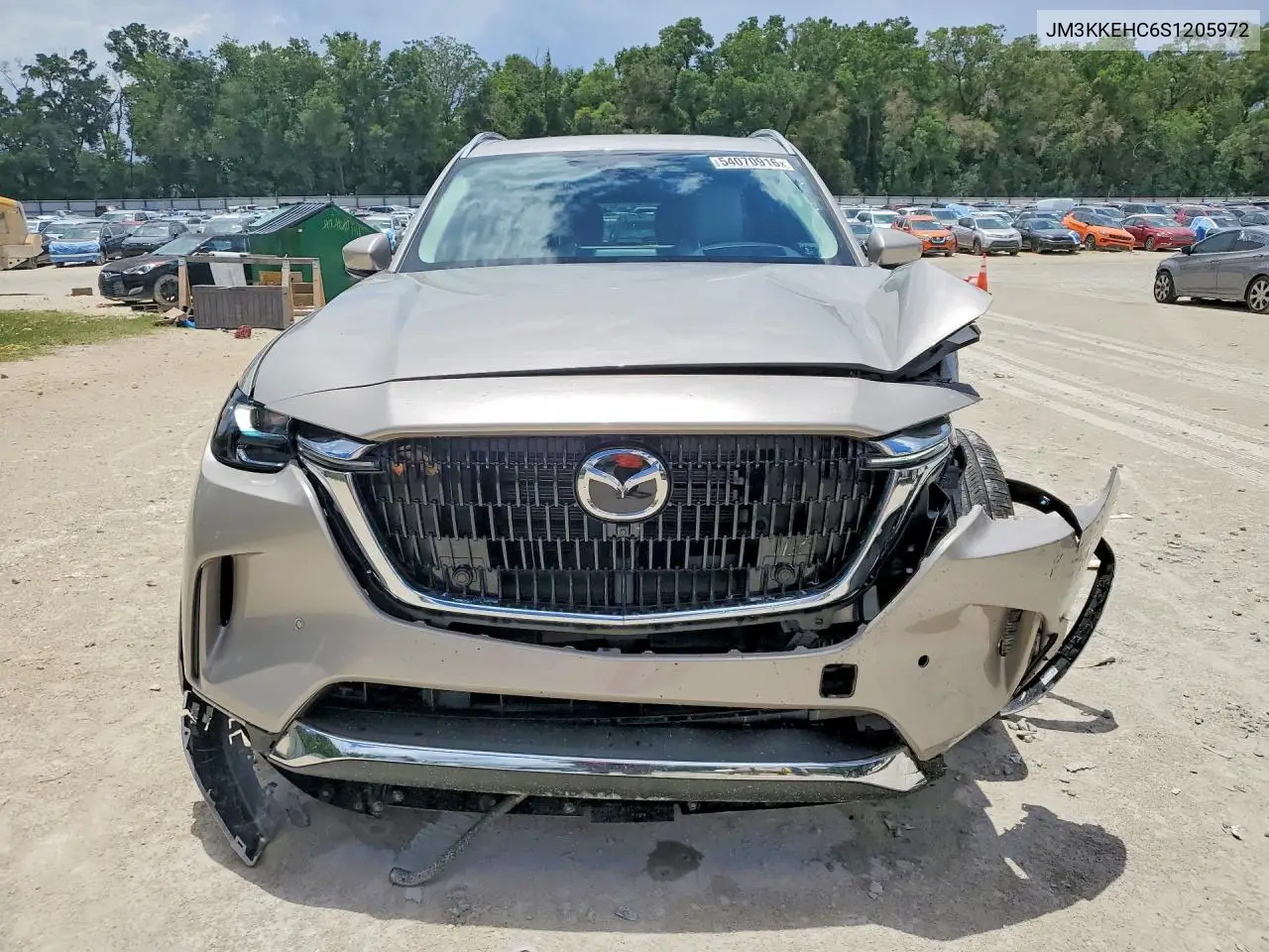 2025 Mazda Cx-90 Premium Plus VIN: JM3KKEHC6S1205972 Lot: 54070916