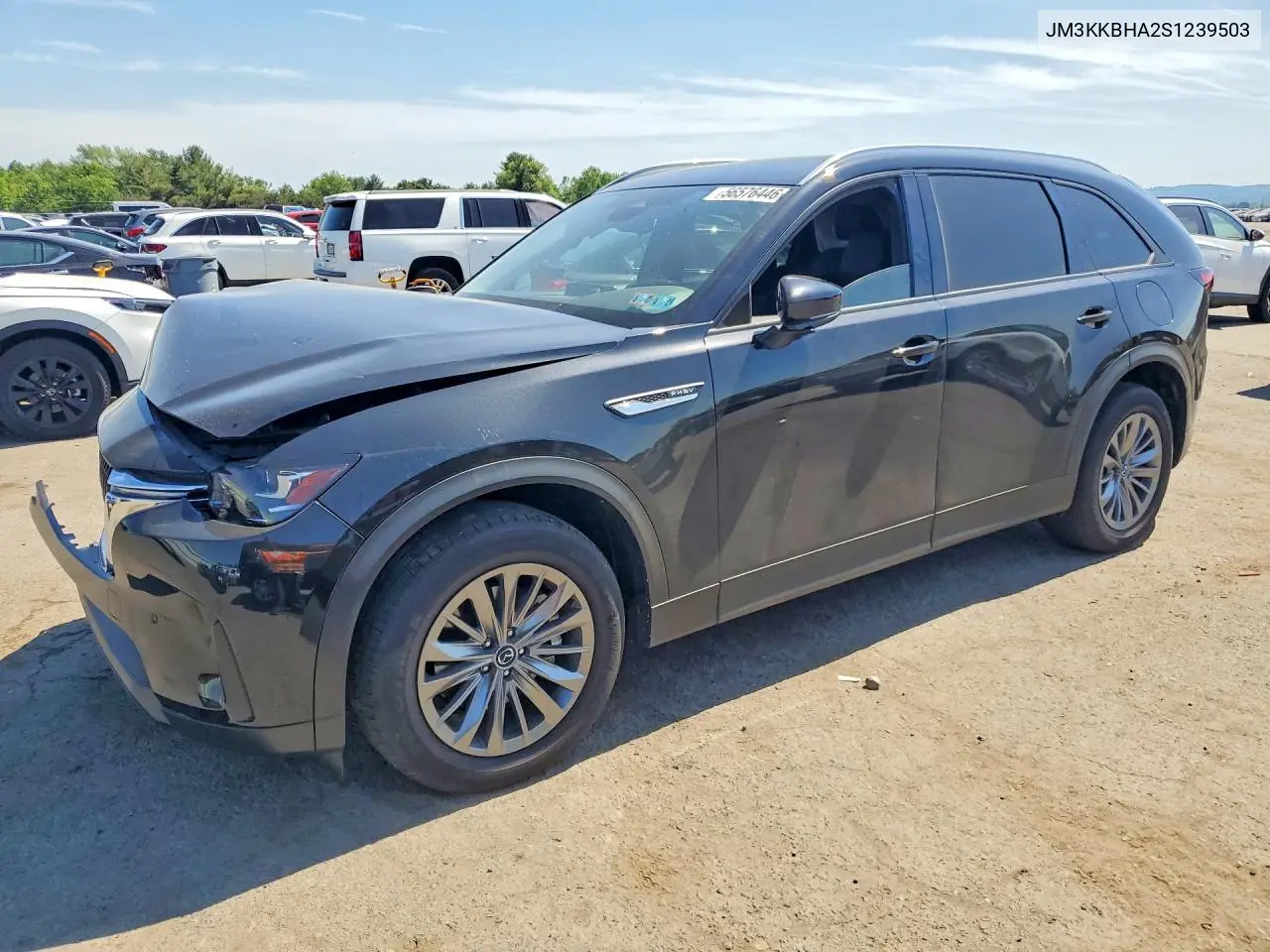 2025 Mazda Cx-90 Preferred VIN: JM3KKBHA2S1239503 Lot: 56576446