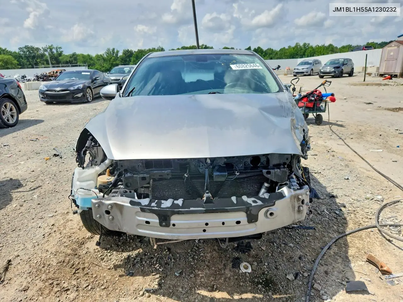 2010 Mazda 3 S VIN: JM1BL1H55A1230232 Lot: 60825646