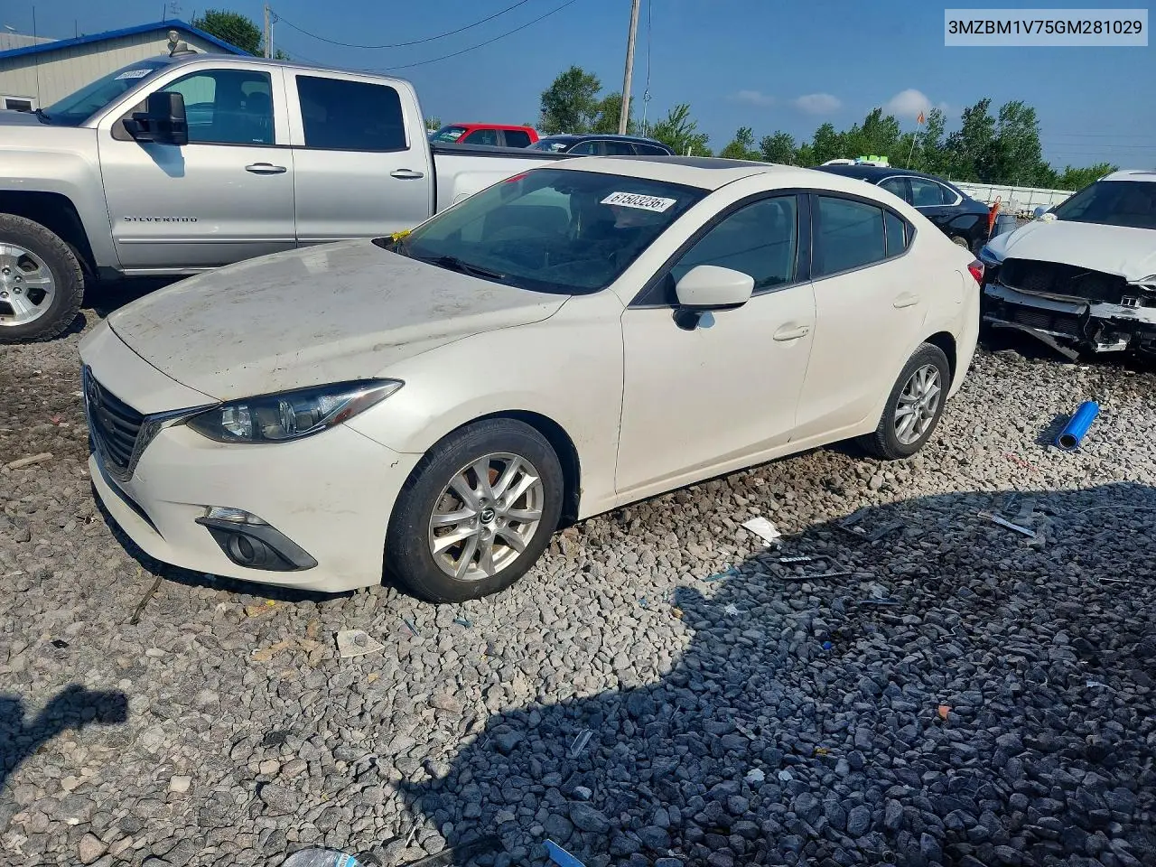 2016 Mazda 3 Touring VIN: 3MZBM1V75GM281029 Lot: 61503236