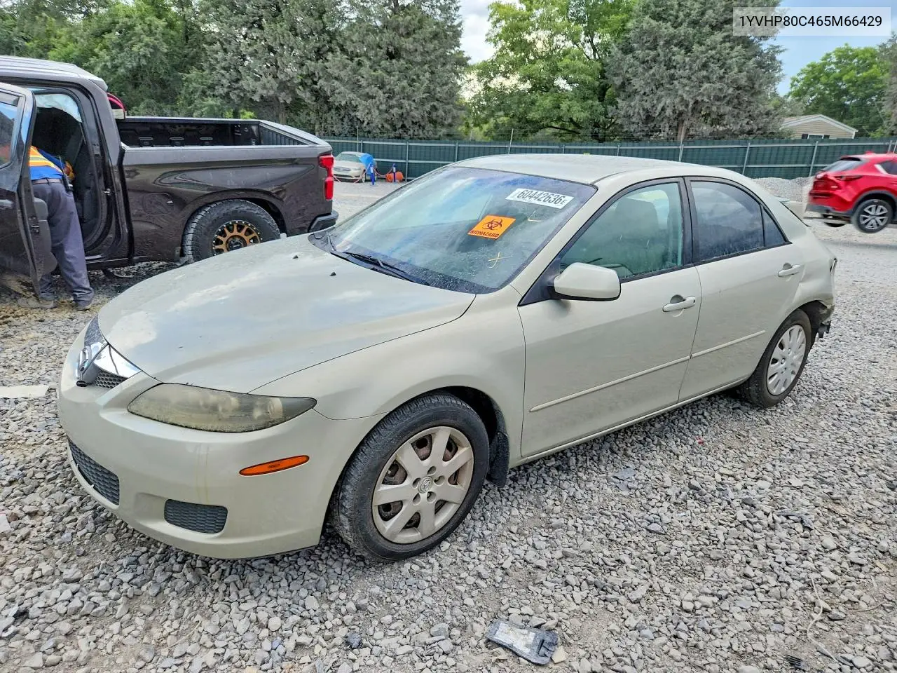 2006 Mazda 6 I VIN: 1YVHP80C465M66429 Lot: 60442636