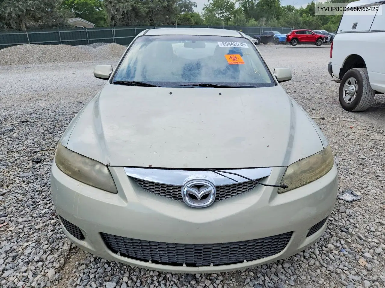 2006 Mazda 6 I VIN: 1YVHP80C465M66429 Lot: 60442636
