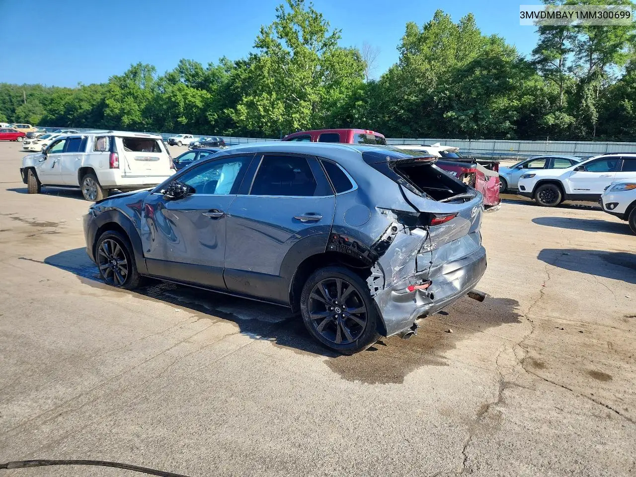 2021 Mazda Cx-30 VIN: 3MVDMBAY1MM300699 Lot: 61425946