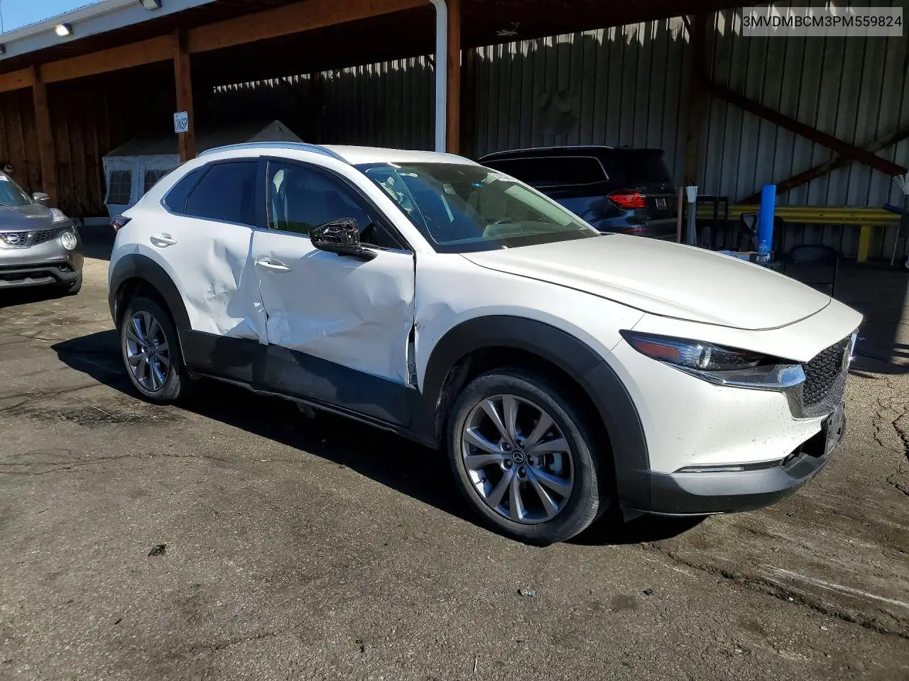 CX-30