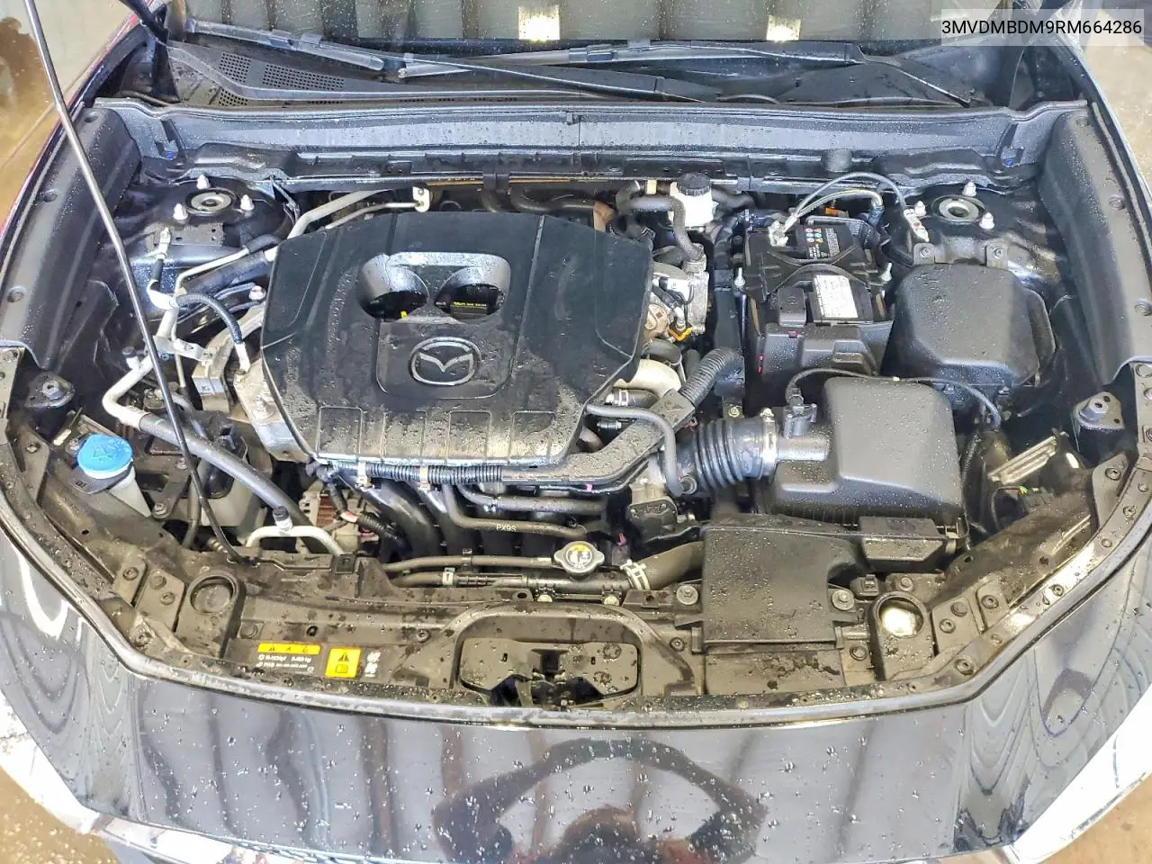 2024 Mazda Cx-30 Premium VIN: 3MVDMBDM9RM664286 Lot: 56664906
