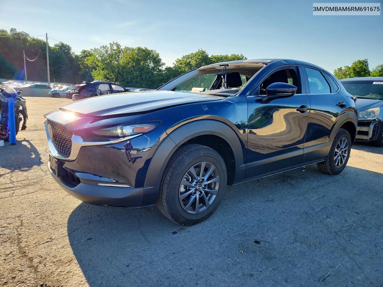 2024 Mazda Cx-30 VIN: 3MVDMBAM6RM691675 Lot: 61704366