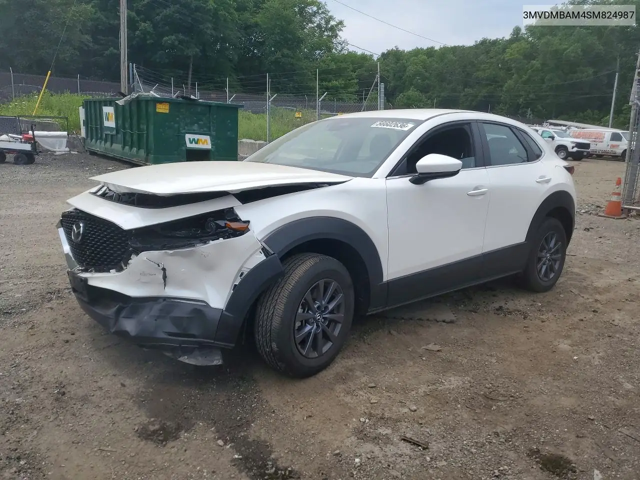 2025 Mazda Cx-30 VIN: 3MVDMBAM4SM824987 Lot: 56602636