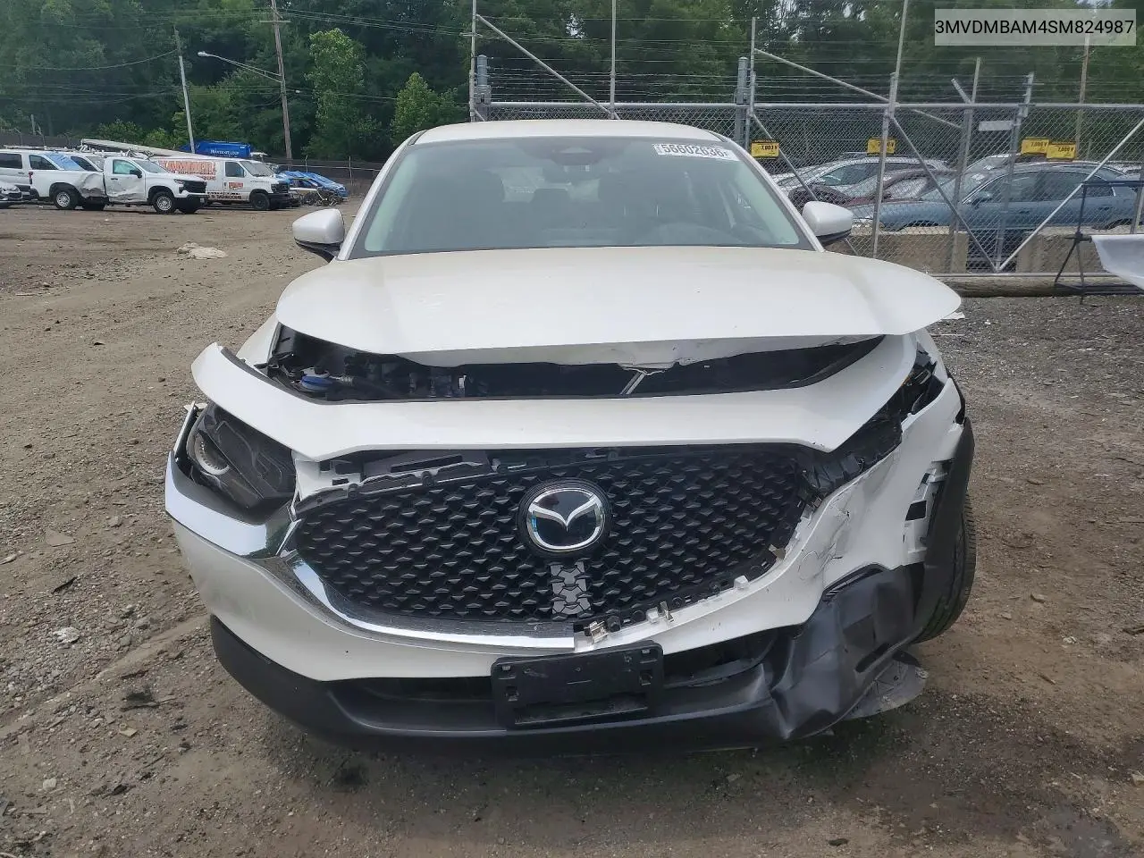 2025 Mazda Cx-30 VIN: 3MVDMBAM4SM824987 Lot: 56602636