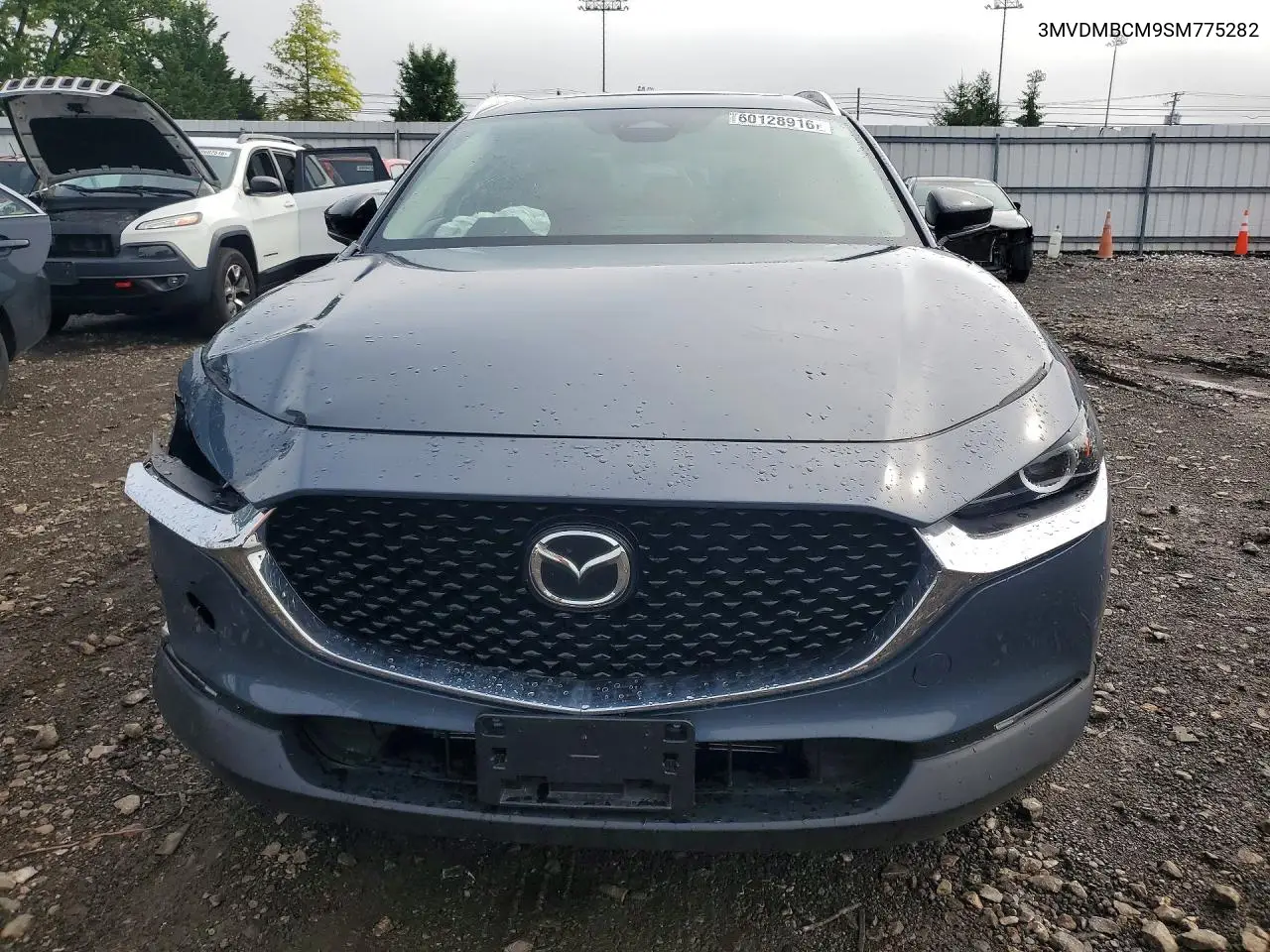 2025 Mazda Cx-30 Preferred VIN: 3MVDMBCM9SM775282 Lot: 60128916