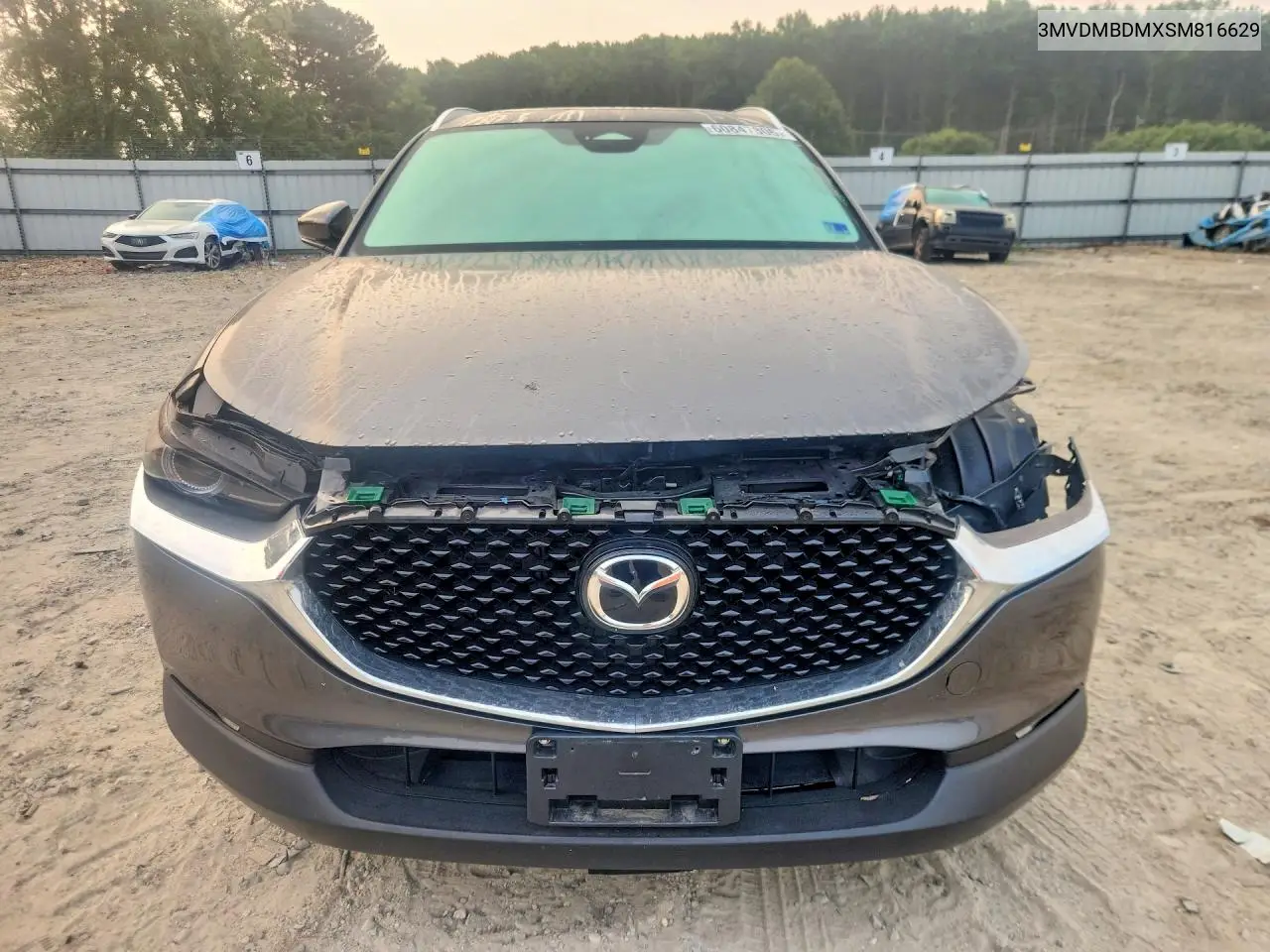 2025 Mazda Cx-30 Premium VIN: 3MVDMBDMXSM816629 Lot: 60847806