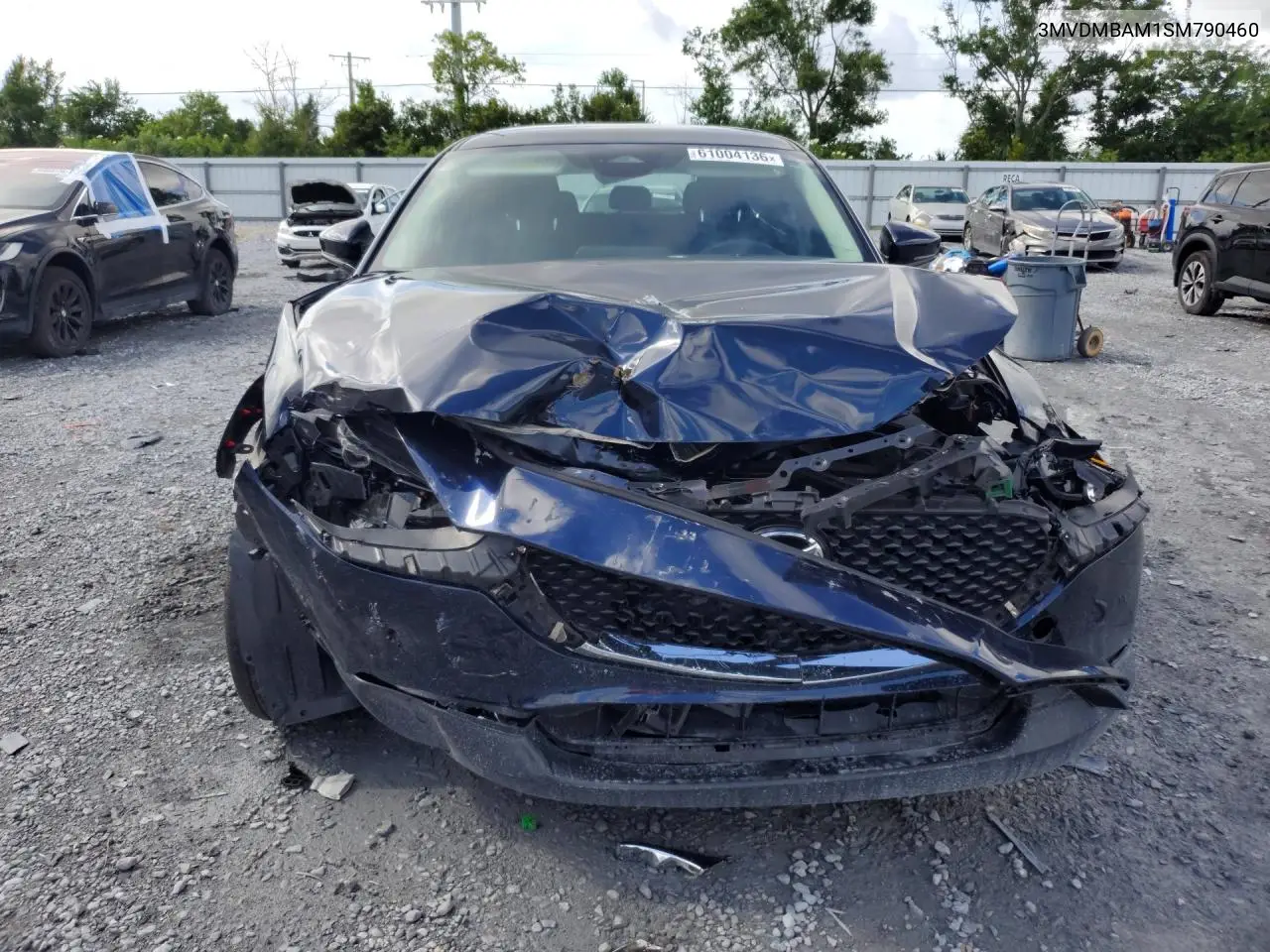 2025 Mazda Cx-30 VIN: 3MVDMBAM1SM790460 Lot: 61004136