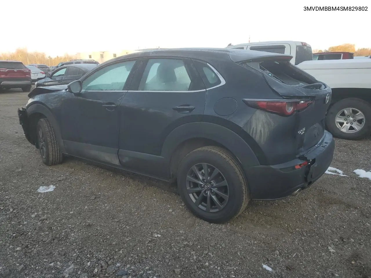 CX-30