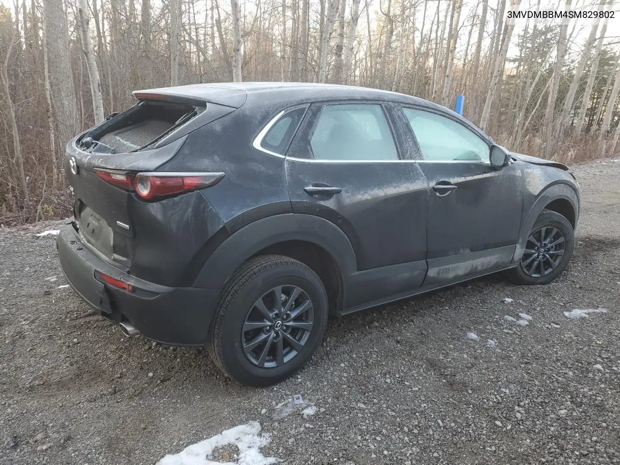 CX-30
