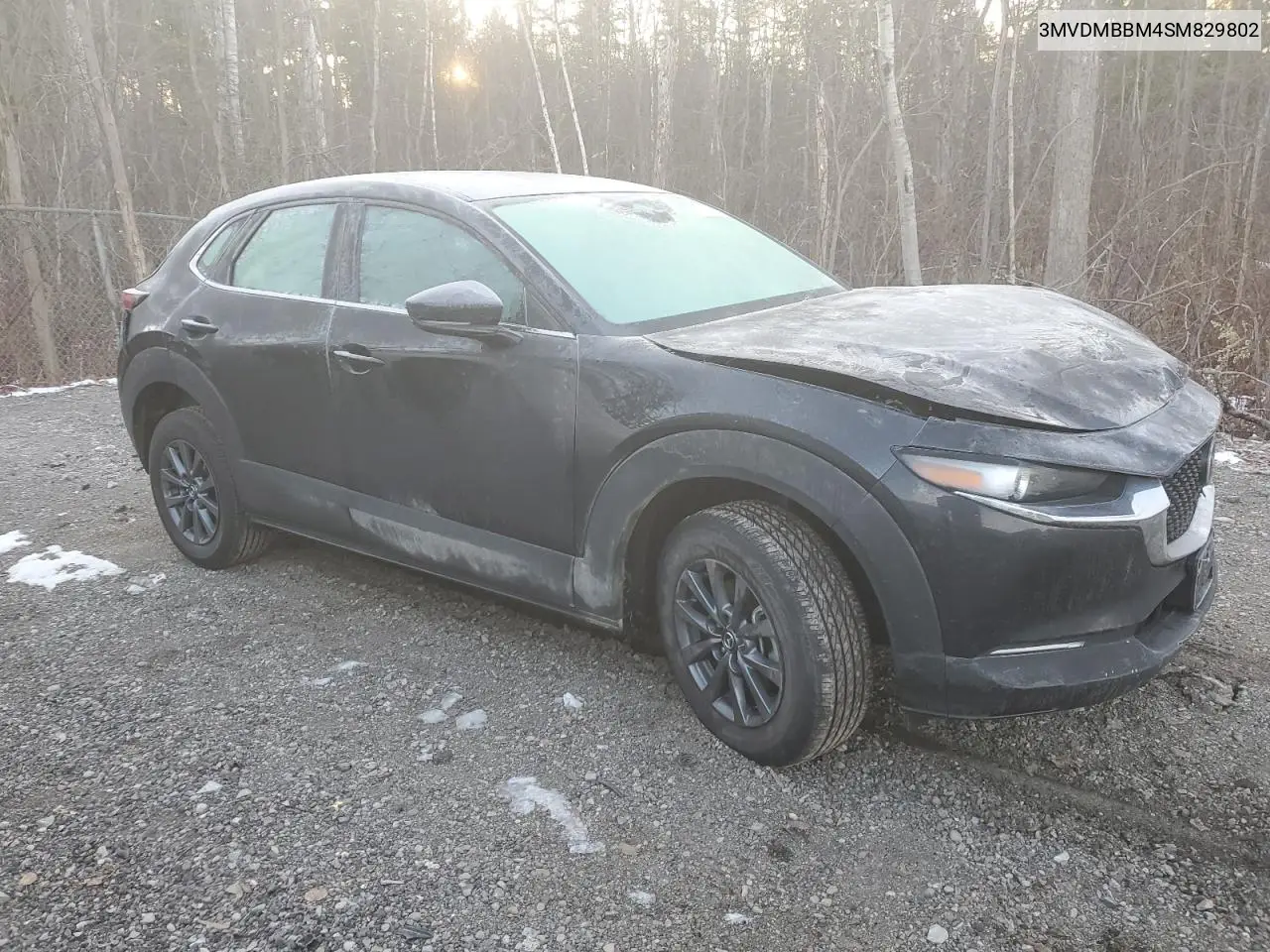 CX-30