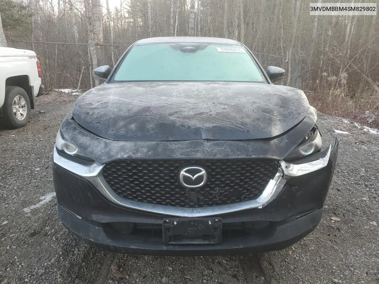 CX-30
