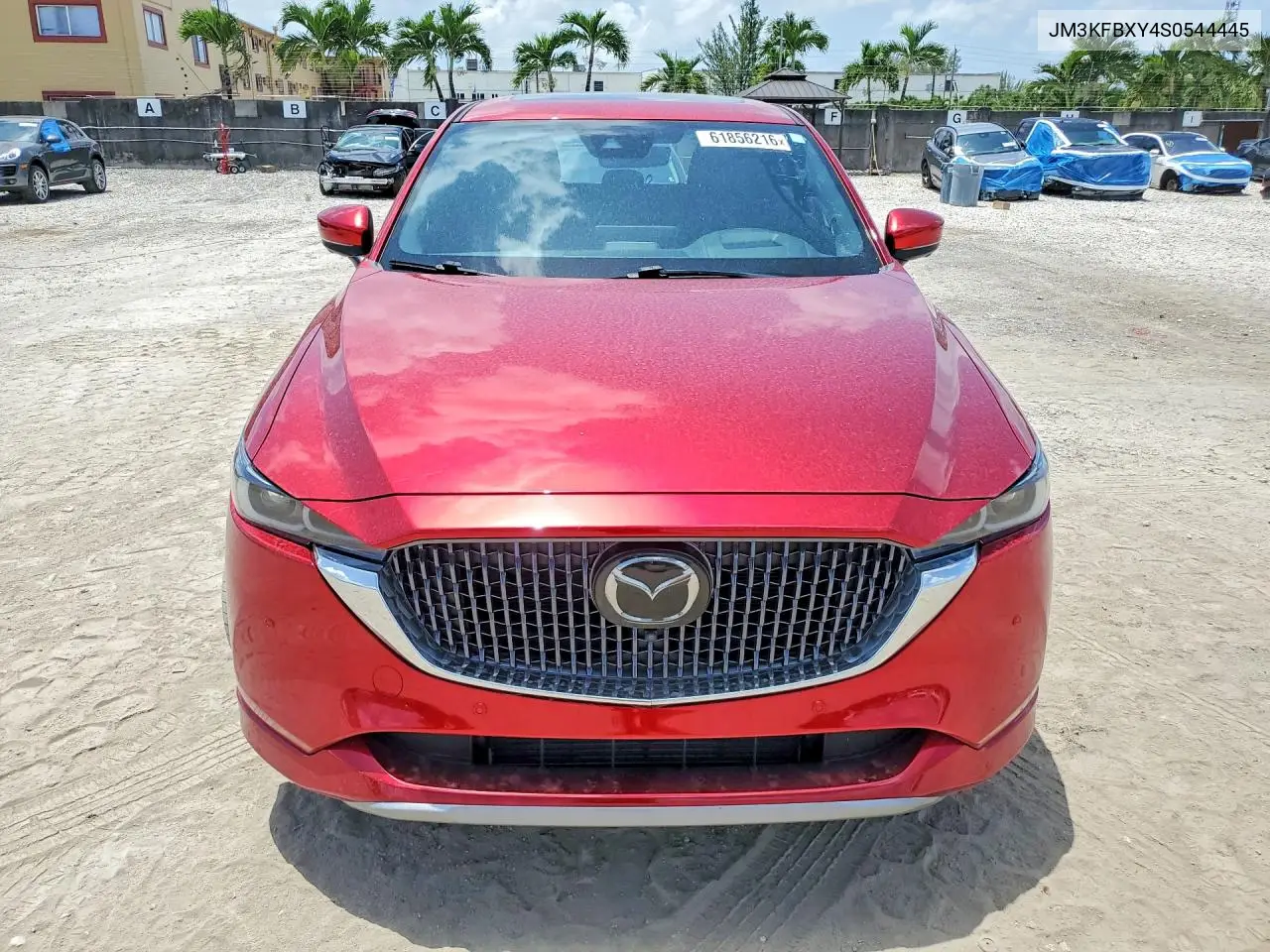 2025 Mazda Cx-5 Signature VIN: JM3KFBXY4S0544445 Lot: 61856216
