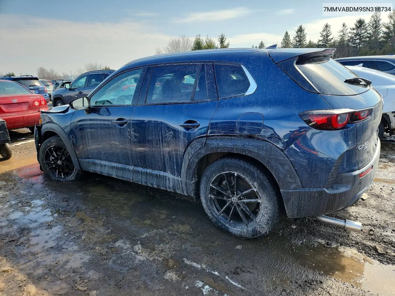 2025 Mazda Cx-50 Premium VIN: 7MMVABDM9SN318734 Lot: 46486756