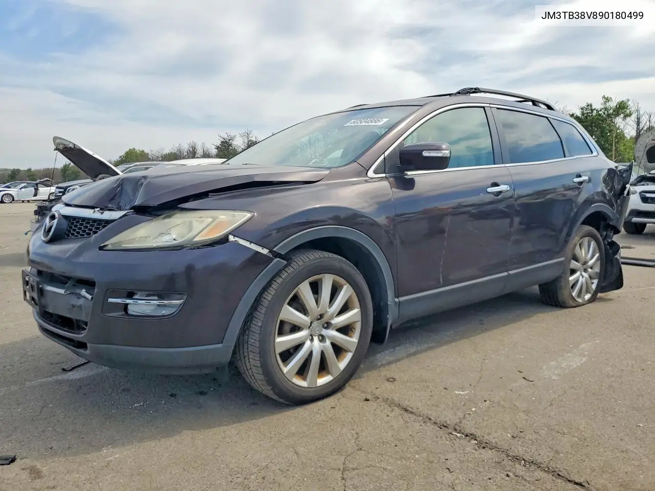 2009 Mazda Cx-9 VIN: JM3TB38V890180499 Lot: 60504886