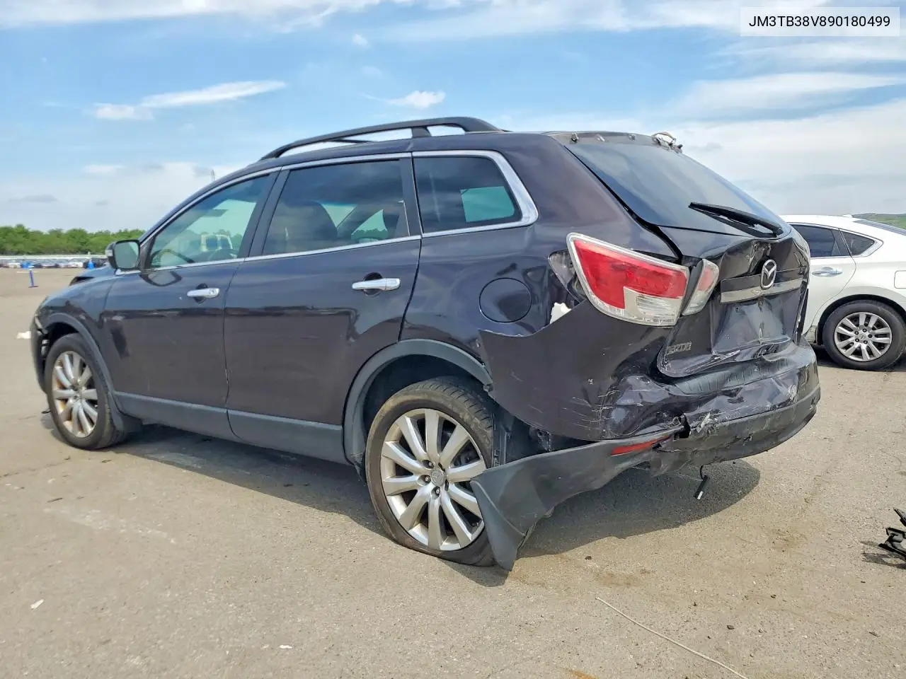 2009 Mazda Cx-9 VIN: JM3TB38V890180499 Lot: 60504886