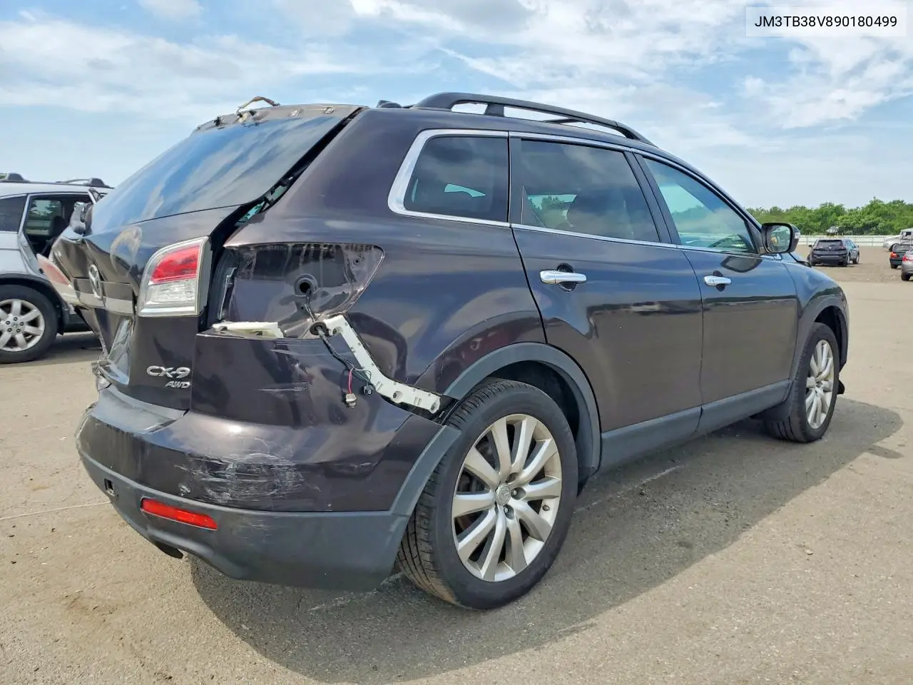 2009 Mazda Cx-9 VIN: JM3TB38V890180499 Lot: 60504886