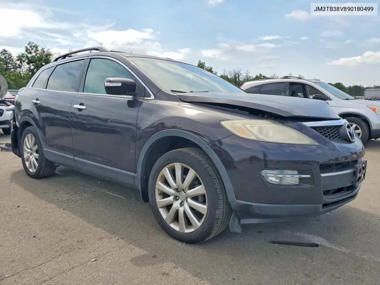 2009 Mazda Cx-9 VIN: JM3TB38V890180499 Lot: 60504886