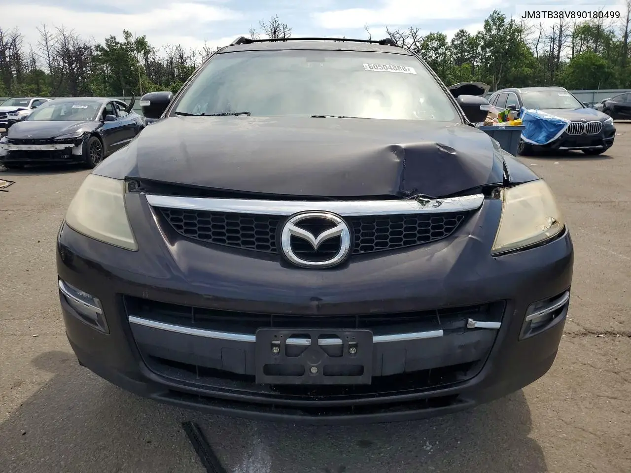 2009 Mazda Cx-9 VIN: JM3TB38V890180499 Lot: 60504886