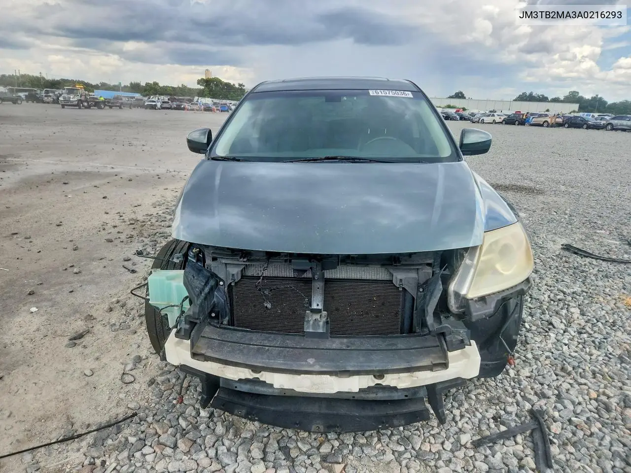 2010 Mazda Cx-9 VIN: JM3TB2MA3A0216293 Lot: 61575036
