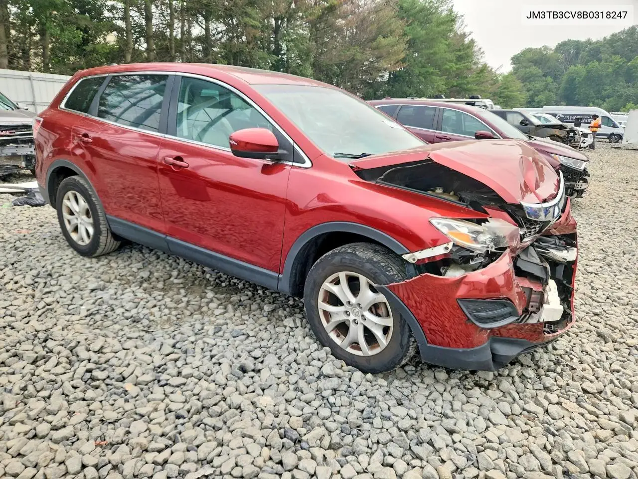 2011 Mazda Cx-9 VIN: JM3TB3CV8B0318247 Lot: 61393686