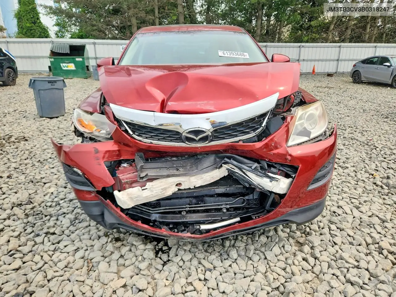 2011 Mazda Cx-9 VIN: JM3TB3CV8B0318247 Lot: 61393686