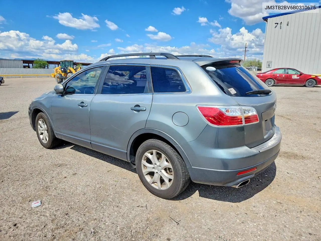 2011 Mazda Cx-9 VIN: JM3TB2BV6B0310675 Lot: 61910166