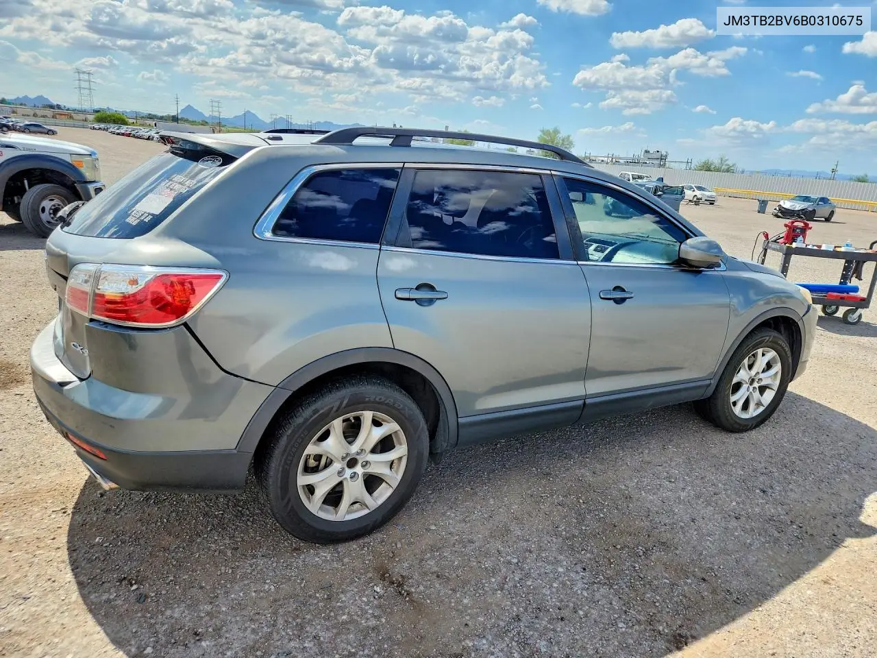 2011 Mazda Cx-9 VIN: JM3TB2BV6B0310675 Lot: 61910166