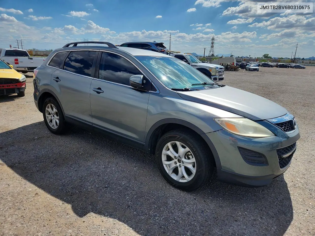 2011 Mazda Cx-9 VIN: JM3TB2BV6B0310675 Lot: 61910166