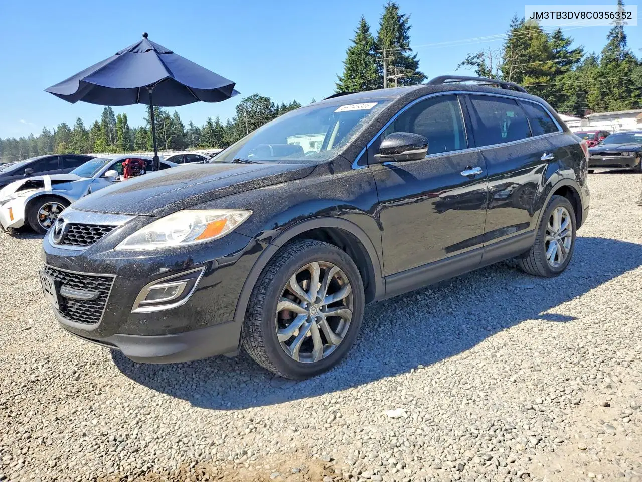 2012 Mazda Cx-9 VIN: JM3TB3DV8C0356352 Lot: 59743306