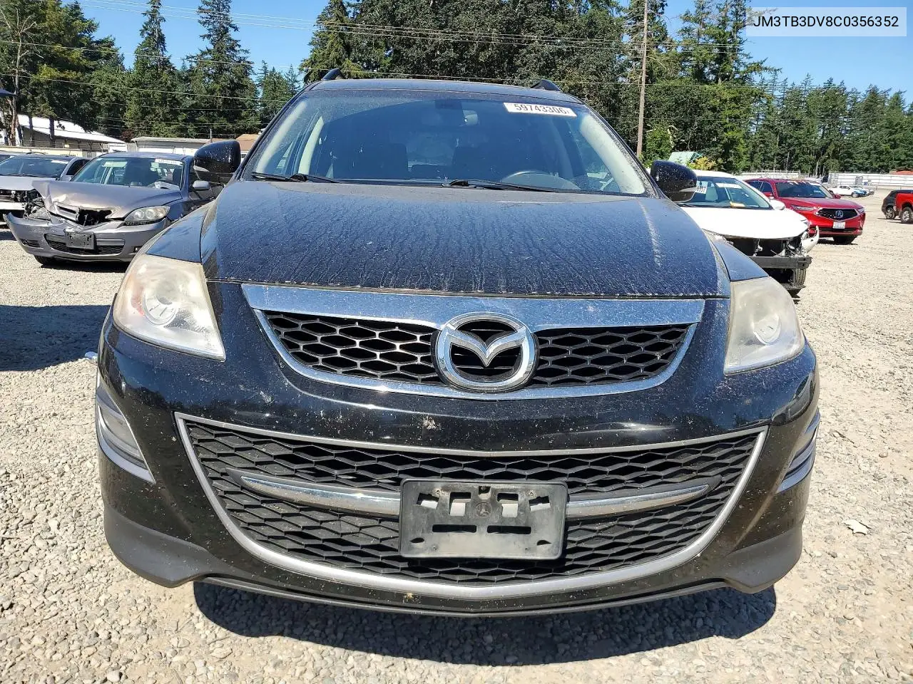 2012 Mazda Cx-9 VIN: JM3TB3DV8C0356352 Lot: 59743306