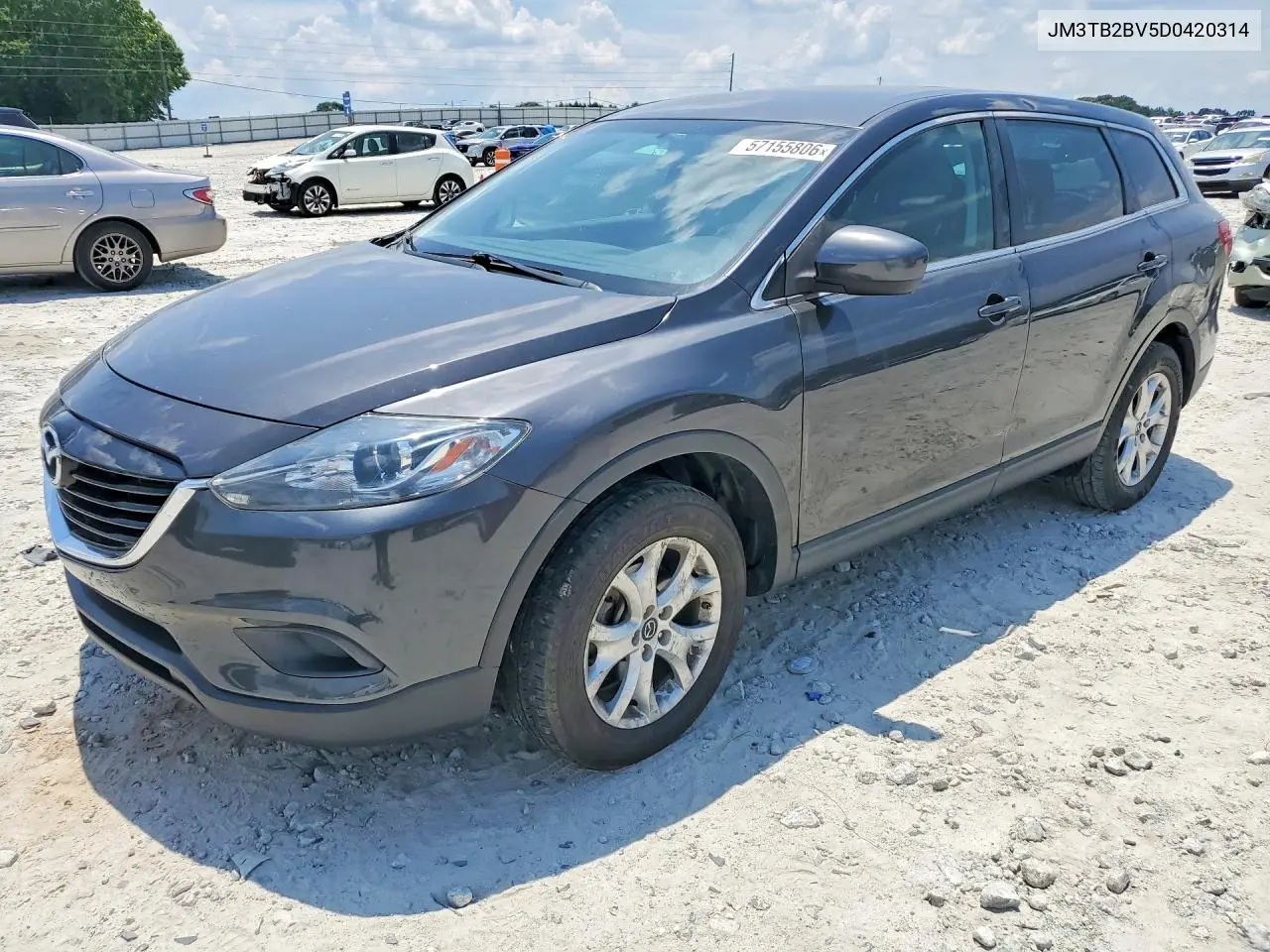 2013 Mazda Cx-9 Sport VIN: JM3TB2BV5D0420314 Lot: 57155806