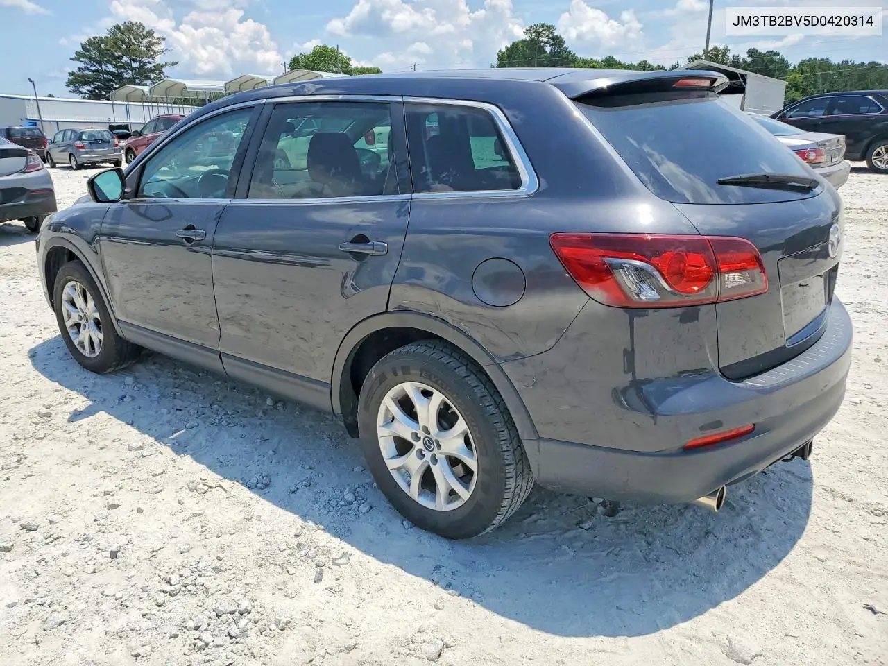 2013 Mazda Cx-9 Sport VIN: JM3TB2BV5D0420314 Lot: 57155806
